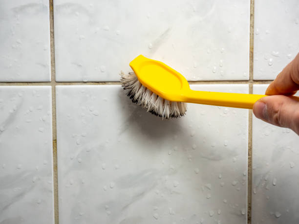 Best Local Mold Removal Service  in Marion, TX