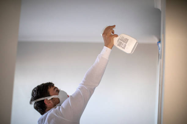 Best Affordable Mold Removal  in Marion, TX
