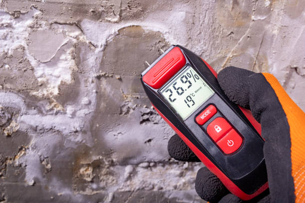 Trusted Marion, TX Mold Removal Experts