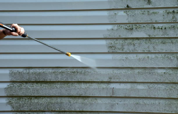 Certified Mold Removal in Marion, TX