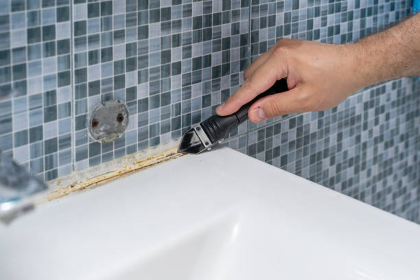 Best Mold Remediation  in Marion, TX