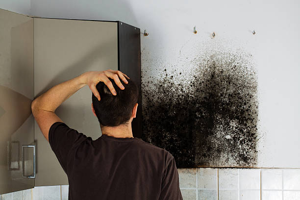 Best Local Mold Removal Service  in Marion, TX